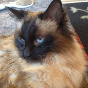 Meet your Posher, Beth